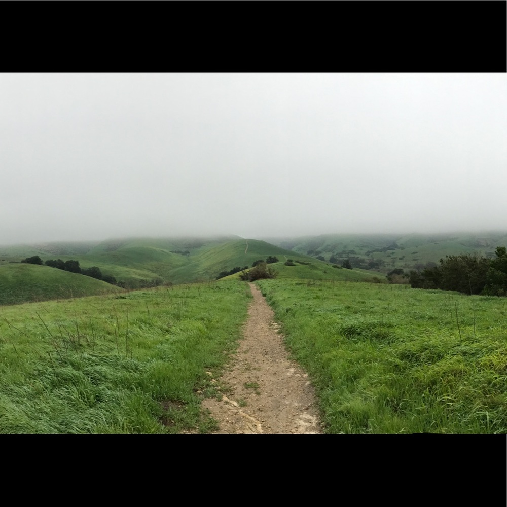 Meet your Posher, Sierra